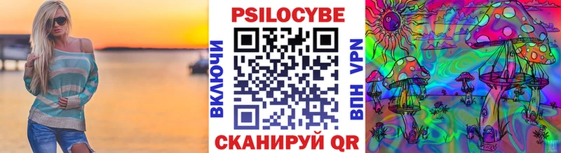 Галлюциногенные грибы Psilocybine cubensis  Канаш 