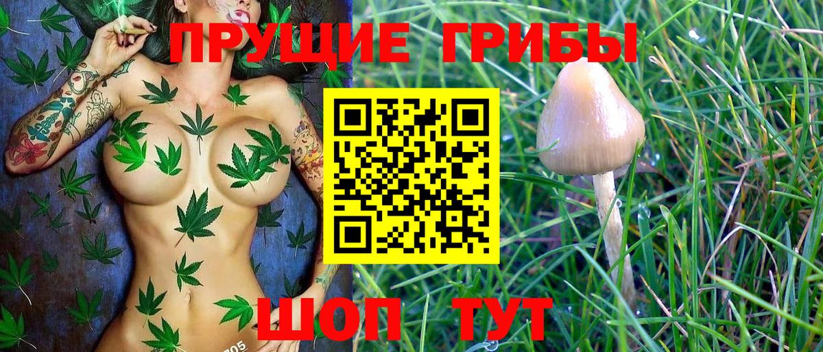 Галлюциногенные грибы Psilocybe  Галлюциногенные грибы MAGIC MUSHROOMS  купить закладку  Вход с VPN  Канаш 
