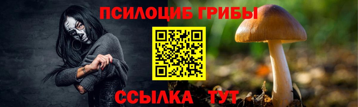 Псилоцибиновые грибы ЛСД Канаш