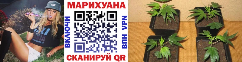 Марихуана LSD WEED  гидра рабочий сайт  Канаш 